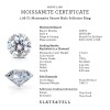 1 Ct Round Moissanite & .06 Ctw Diamond Secret Halo Solitaire Ring