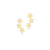 Gold Star Ear Climber