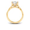 4 Ct Elongated Cushion Lab Diamond & 0.14 Ctw Diamond Twisted Vine Engagement Ring