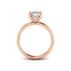 2 Ct Round Moissanite & .10 Ctw Diamond Hidden Halo Engagement Ring
