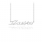 Custom NFT Signature Necklace