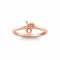 Zodiac Ring - Leo