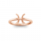 Zodiac Ring - Pisces