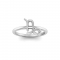 Zodiac Ring - Capricorn