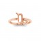 Zodiac Ring - Capricorn