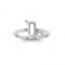 Zodiac Ring - Capricorn