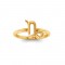 Zodiac Ring - Capricorn