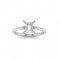 Zodiac Ring - Gemini