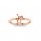 Zodiac Ring - Leo