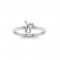 Zodiac Ring - Leo