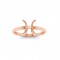 Zodiac Ring - Pisces