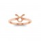 Zodiac Ring - Taurus