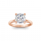 4 Ct Cushion Moissanite & .10 Ctw Diamond Secret Halo Solitaire Ring