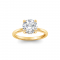 1.5 Ct Round Lab Diamond & .10 Ctw Diamond Hidden Halo Engagement Ring