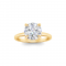 2.5 Ct Round Lab Diamond & .10 Ctw Diamond Hidden Halo Engagement Ring